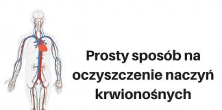 Prosty sposób na oczyszczenie naczyń krwionośnych oczyszczenie naczyń krwionośnych