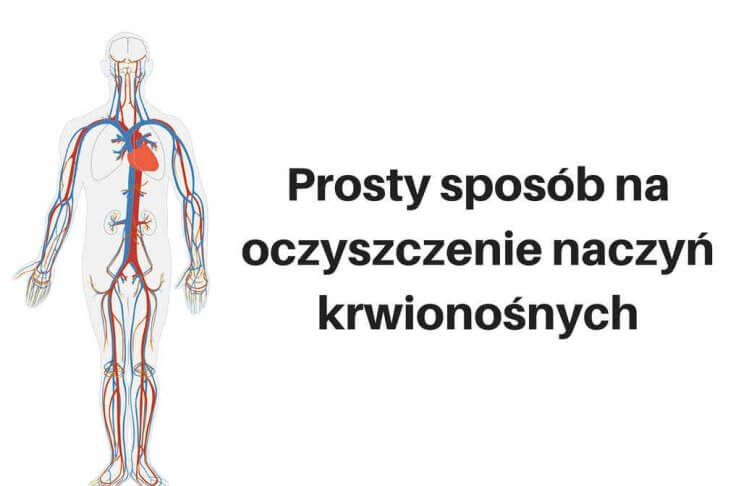 Prosty sposób na oczyszczenie naczyń krwionośnych oczyszczenie naczyń krwionośnych