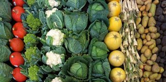 Poznaj najważniejsze produkty odkwaszające Twój organizm produkty odkwaszające