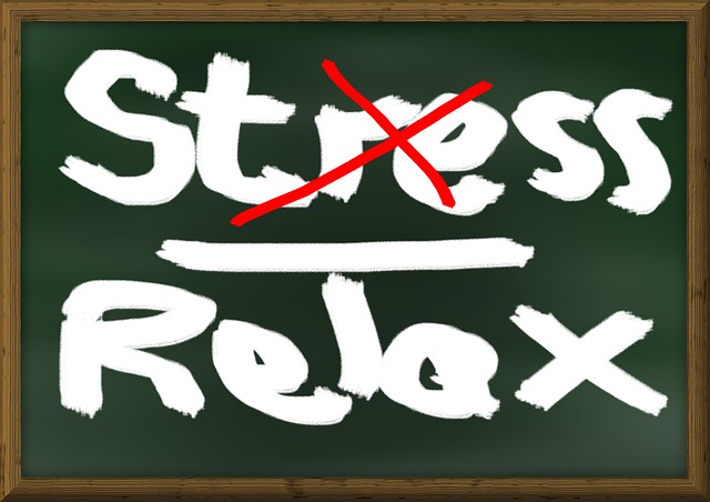 stres a odporność