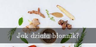 Dlaczego błonnik jest tak korzystny dla naszego organizmu? błonnik