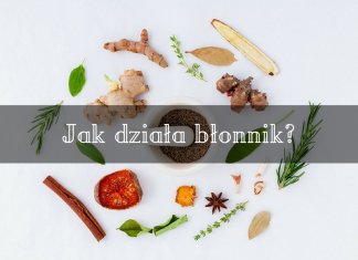 Dlaczego błonnik jest tak korzystny dla naszego organizmu? błonnik