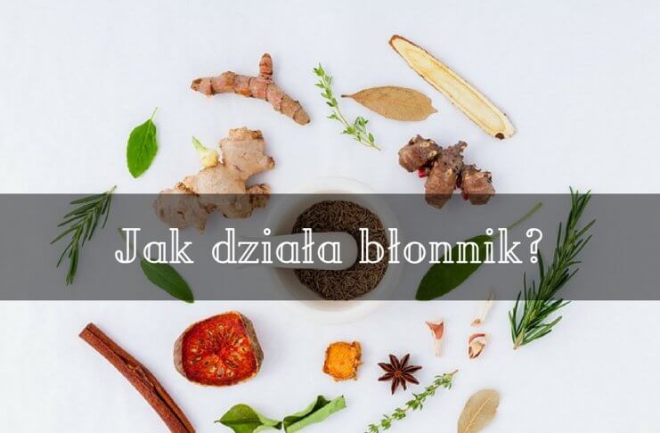 Dlaczego błonnik jest tak korzystny dla naszego organizmu? błonnik