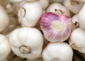 Co się stanie z ciałem, jeśli będziemy jedli miód i czosnek przez 7 dni?