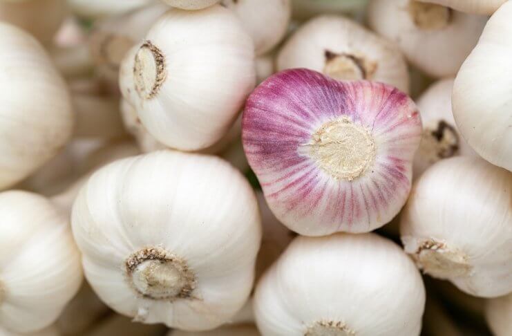 Co się stanie z ciałem, jeśli będziemy jedli miód i czosnek przez 7 dni?