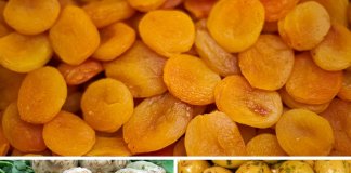 11 dziwnych naturalnych lekarstw, które powinnnaś poznać