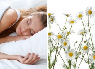 Cudowne właściwości herbaty z rumianku