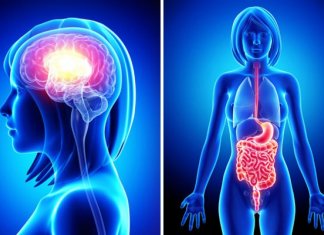 PROBLEMY ŻOŁĄDKOWE MOGĄ SZKODZIĆ MÓZGOWI!