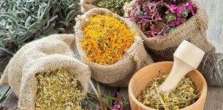 8 starożytnych ziołowych terapii, które działają!