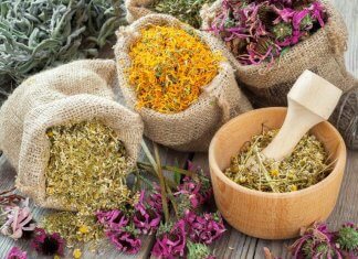 8 starożytnych ziołowych terapii, które działają!