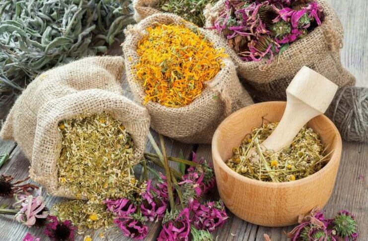8 starożytnych ziołowych terapii, które działają!