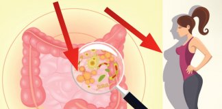 Oto bakterie, które wzmocnią odporność, ułatwią trawienie i pomogą Ci schudnąć