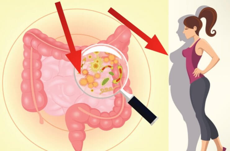 Oto bakterie, które wzmocnią odporność, ułatwią trawienie i pomogą Ci schudnąć