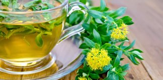 ADAPTOGENY, CZYLI NATURALNE LEKI NA STRES I ZMĘCZENIE