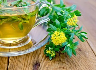 ADAPTOGENY, CZYLI NATURALNE LEKI NA STRES I ZMĘCZENIE