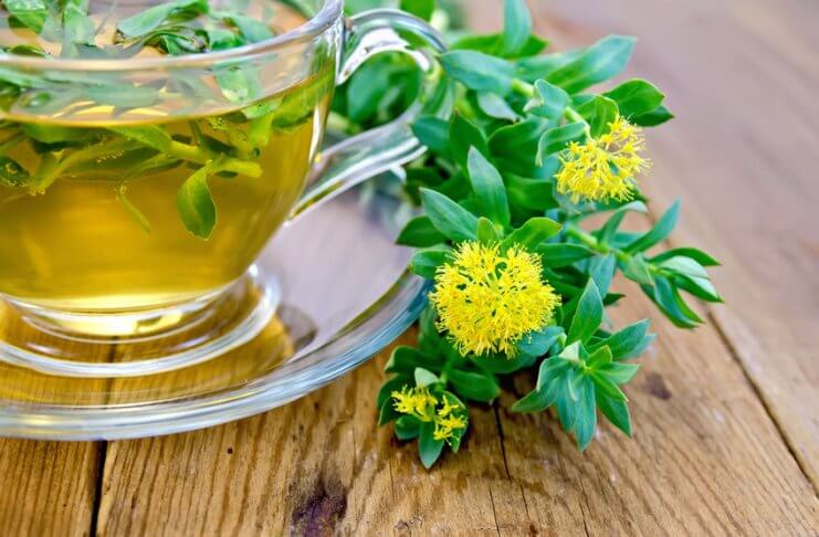 ADAPTOGENY, CZYLI NATURALNE LEKI NA STRES I ZMĘCZENIE