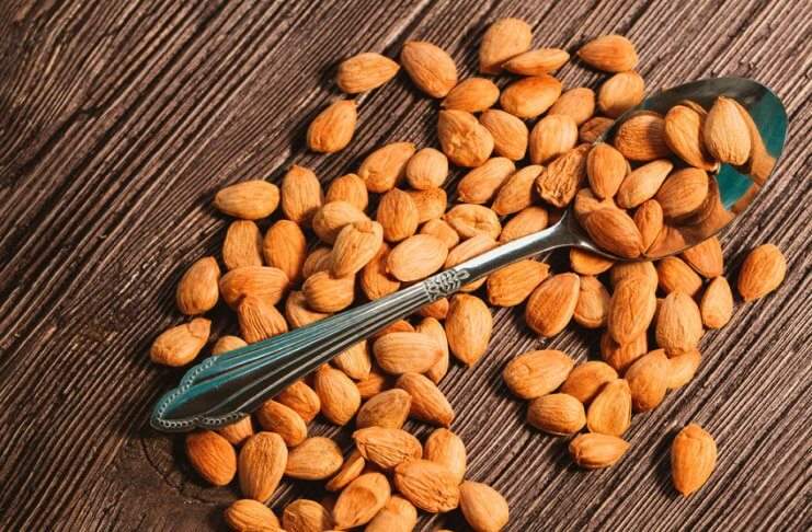 GORZKIE PESTKI MORELI – ZDROWE CZY SZKODLIWE?