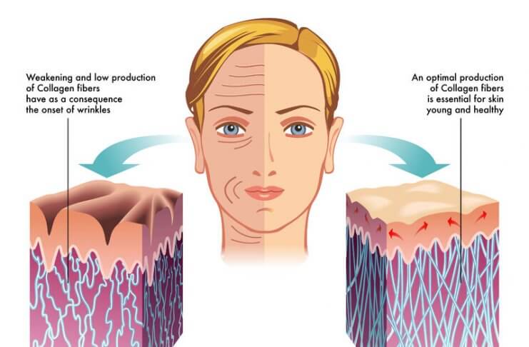 CZY WARTO PRZYJMOWAĆ KOLAGEN W KAPSUŁKACH? POZNAJ JEGO NATURALNE ŹRÓDŁA