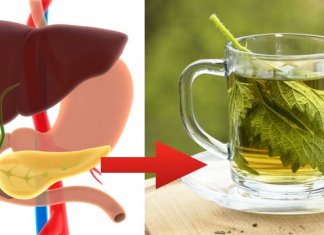 5 SKUTECZNYCH ZIÓŁ NA OCZYSZCZANIE ORGANIZMU Z TOKSYN