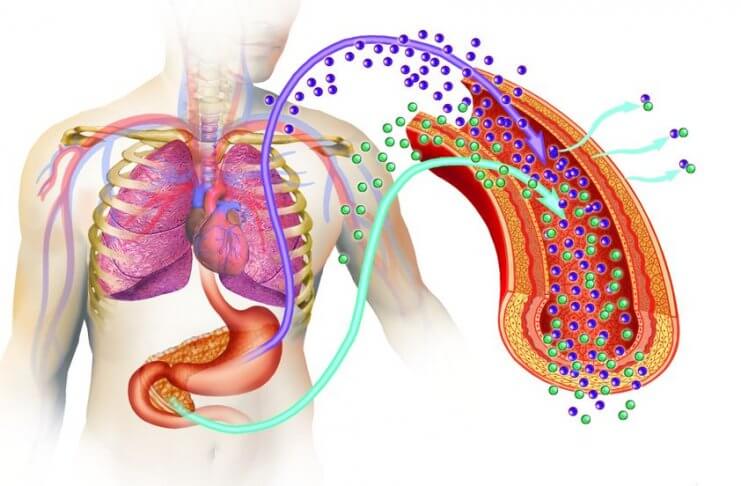 BŁONNIK POKARMOWY CHRONI PRZED CUKRZYCĄ TYPU 2 błonnik pokarmowy chroni przed cukrzycą