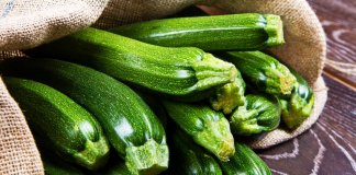 CUKINIA I JEJ WŁAŚCIWOŚCI ZDROWOTNE cukinia właściwości