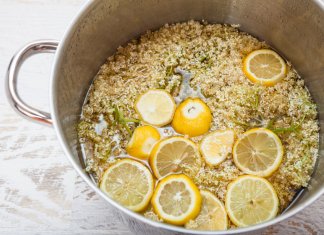 3 PRZEPISY NA DRINKI Z KWIATÓW CZARNEGO BZU drinki z kwiatów czarnego bzu