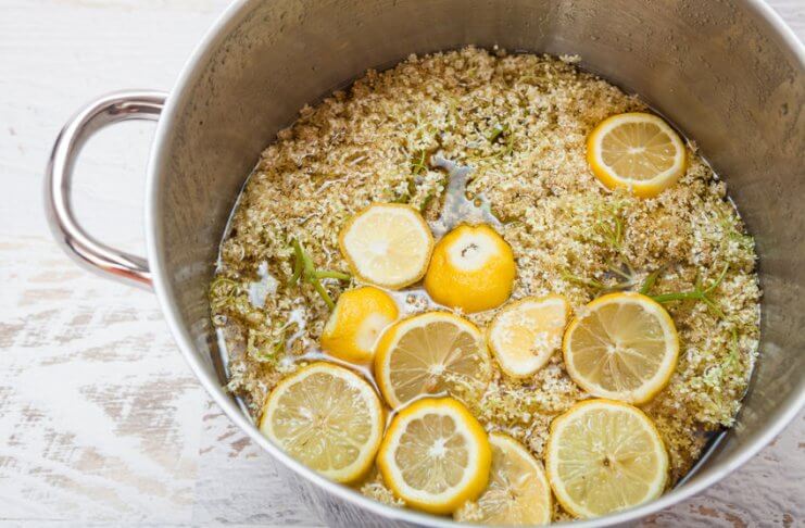 3 PRZEPISY NA DRINKI Z KWIATÓW CZARNEGO BZU drinki z kwiatów czarnego bzu