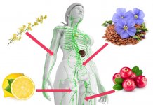 MASZ NADMIAR WODY W ORGANIZMIE? OCZYŚĆ UKŁAD LIMFATYCZNY! nadmiar wody w organizmie oczyszczanie układu limfatycznego