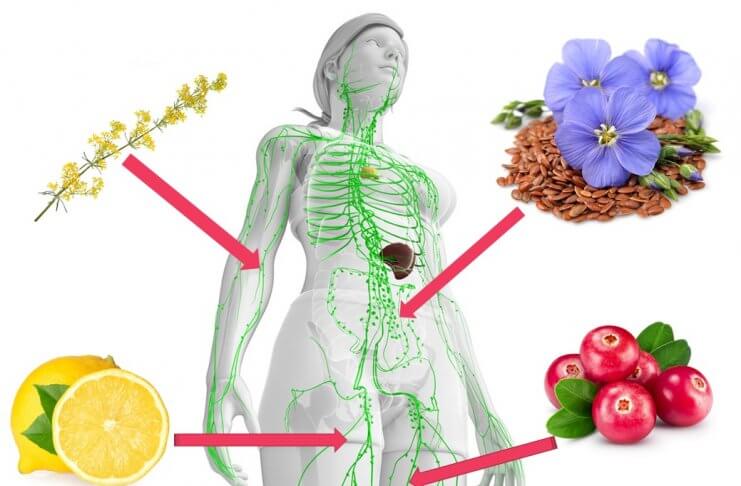 MASZ NADMIAR WODY W ORGANIZMIE? OCZYŚĆ UKŁAD LIMFATYCZNY! nadmiar wody w organizmie oczyszczanie układu limfatycznego