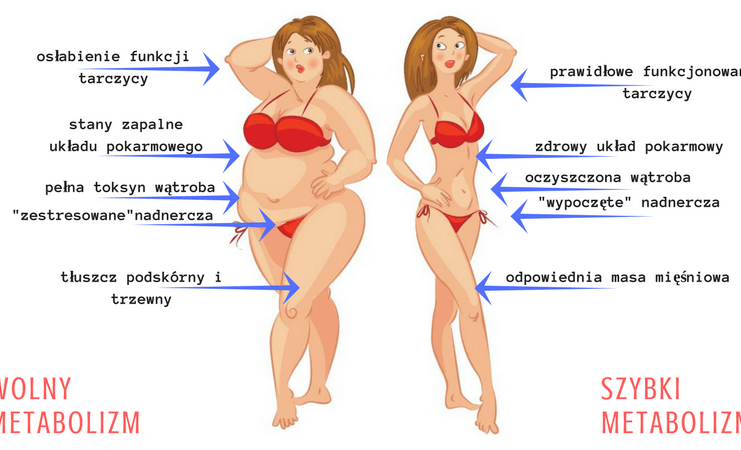 JAK PRZYSPIESZYĆ METABOLIZM? 4 SKUTECZNE METODY jak przyspieszyć metabolizm