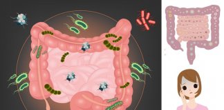 SIBO A NIEDOCZYNNOŚĆ TARCZYCY – JAK TO ZDIAGNOZOWAĆ I WYLECZYĆ? sibo niedoczynność tarczycy