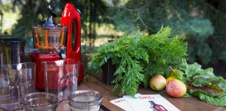 JAK ZROBIĆ MLEKO MIGDAŁOWE I PYSZNE SOKI? TEST WYCISKARKI SKG 2088 skg 2088